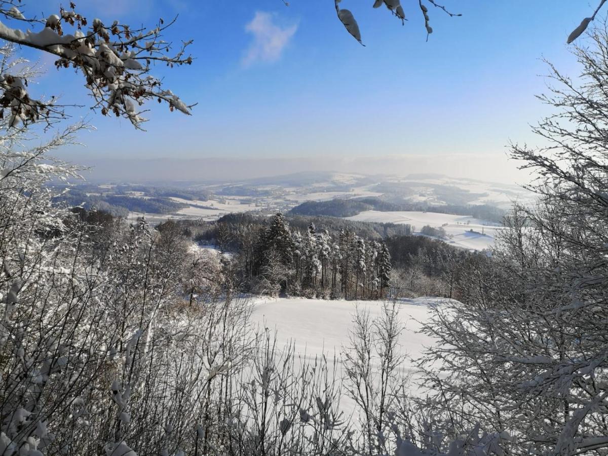 Loft Ueber Dem Bodensee Heiligenberg Luaran gambar